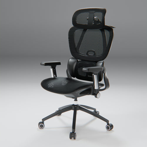 variant:45277177118743|Negro