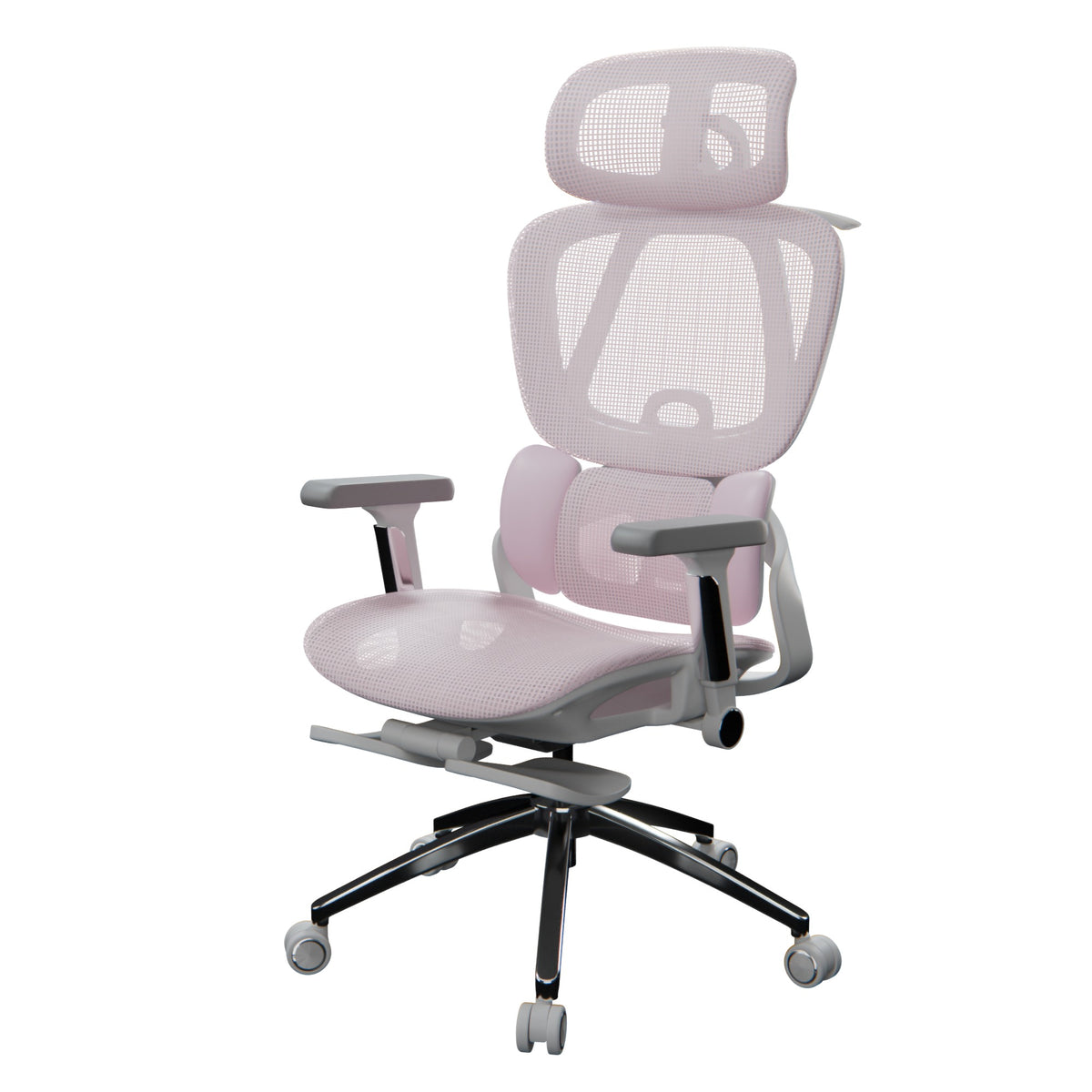variant:45273949667351|Rosa