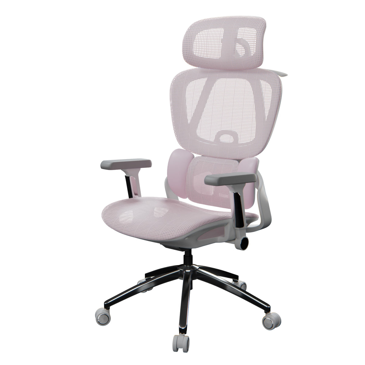 variant:45372719923223|Rosa