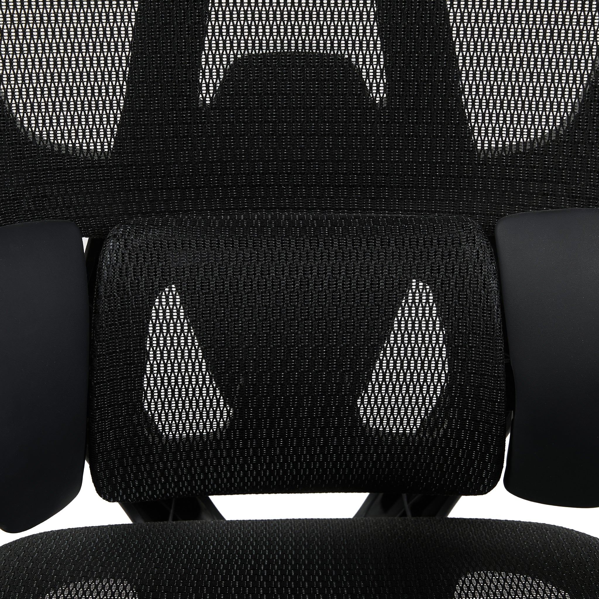 variant:45247869091863|T60Negro