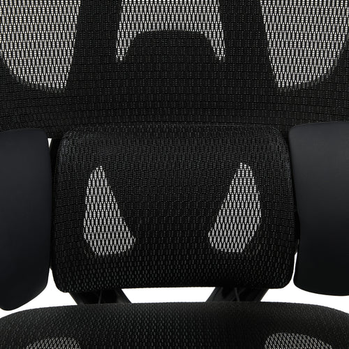 variant:45247869091863|T60Negro