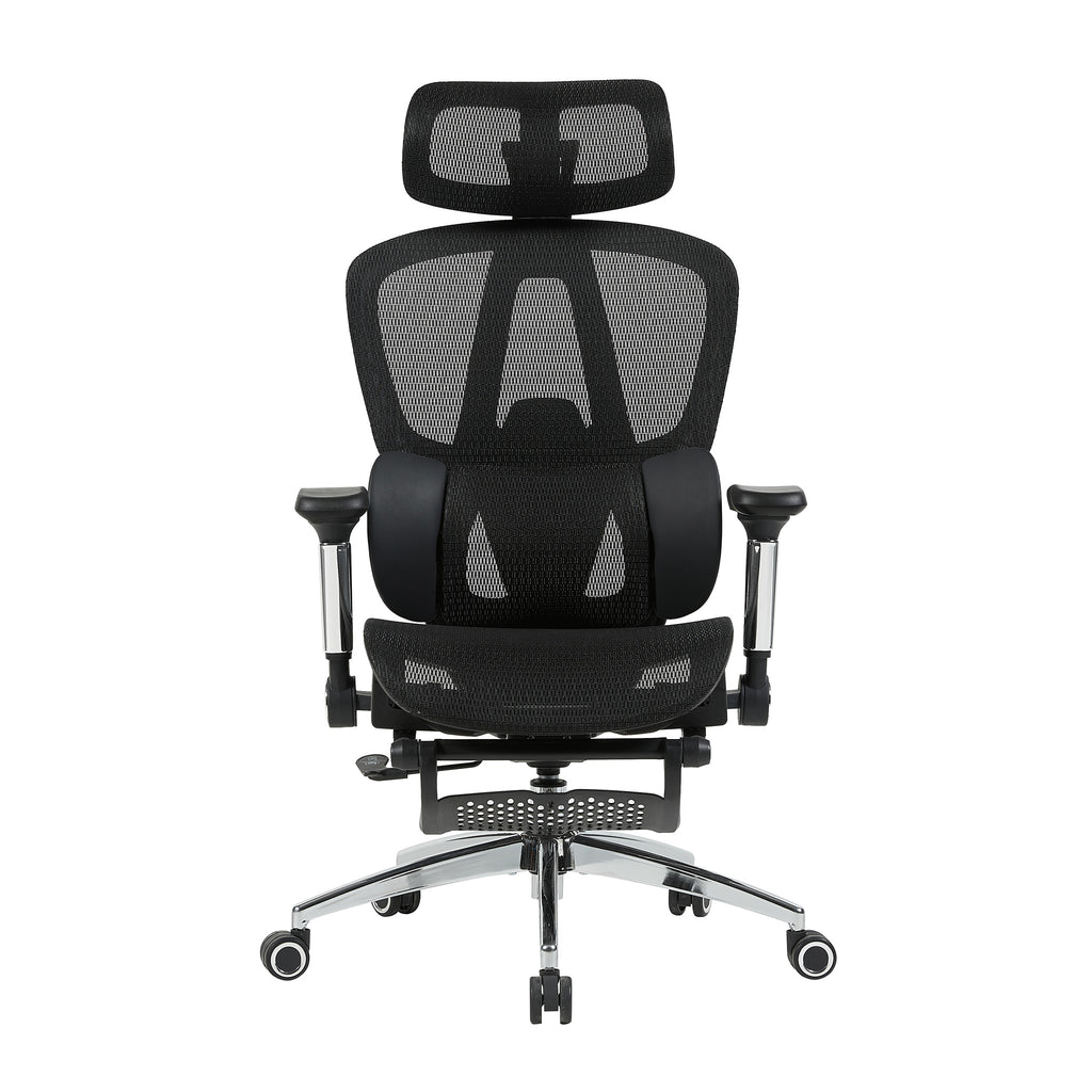 variant:45247869091863|T60Negro