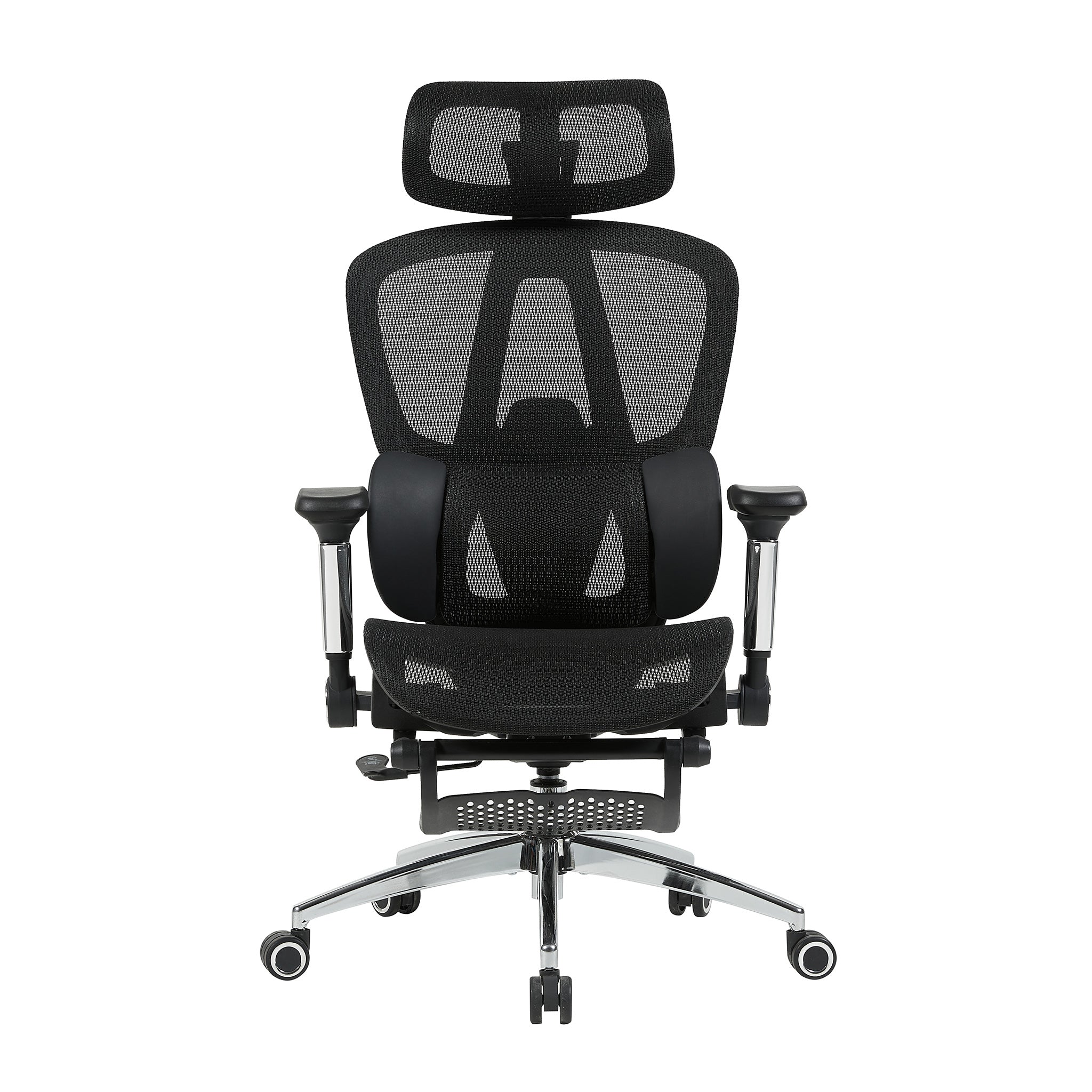 variant:45247869091863|T60Negro