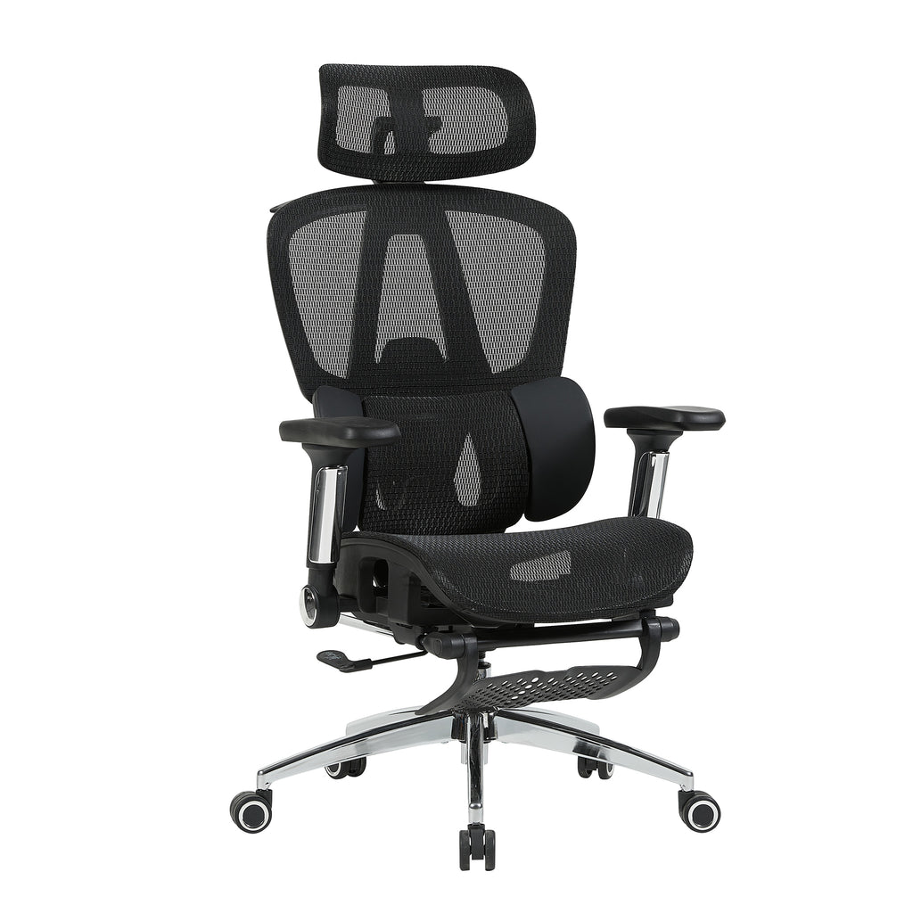 variant:45247869091863|T60Negro