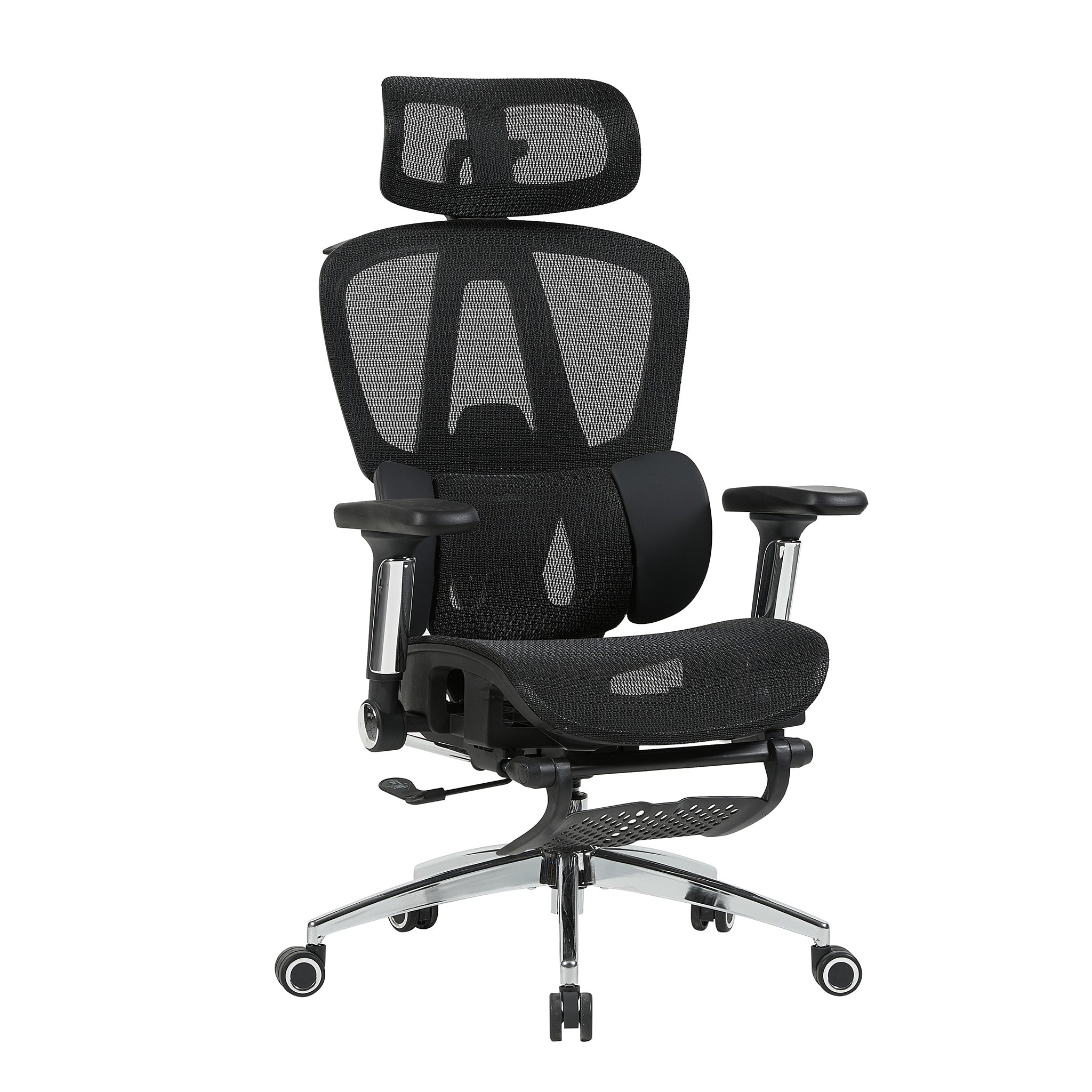 variant:45247869091863|T60Negro