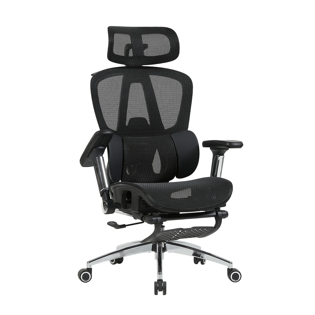 variant:45247869091863|T60Negro