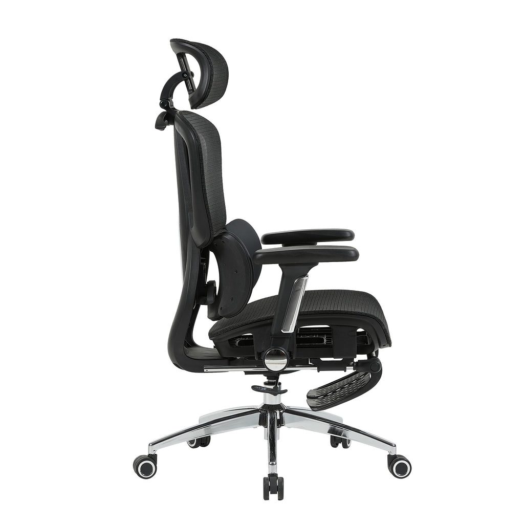 variant:45247869091863|T60Negro