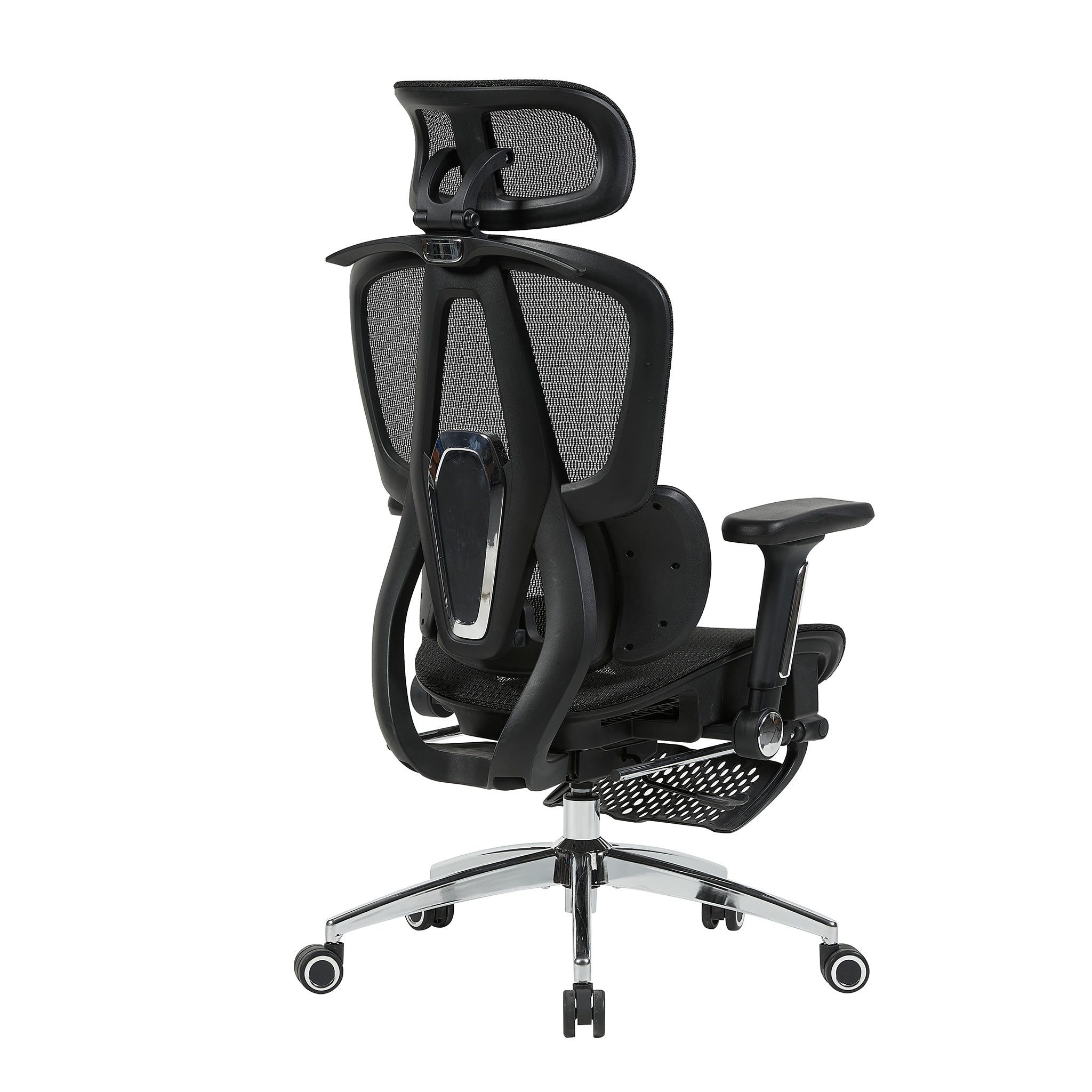 variant:45247869091863|T60Negro