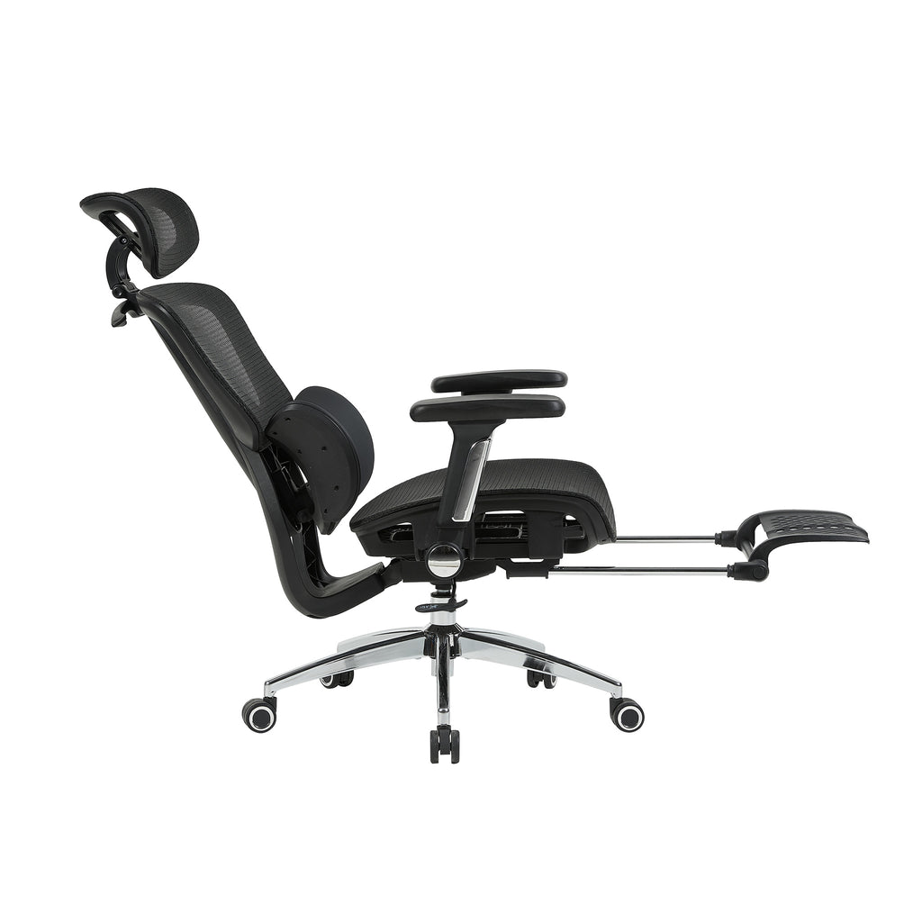 variant:45247869091863|T60Negro
