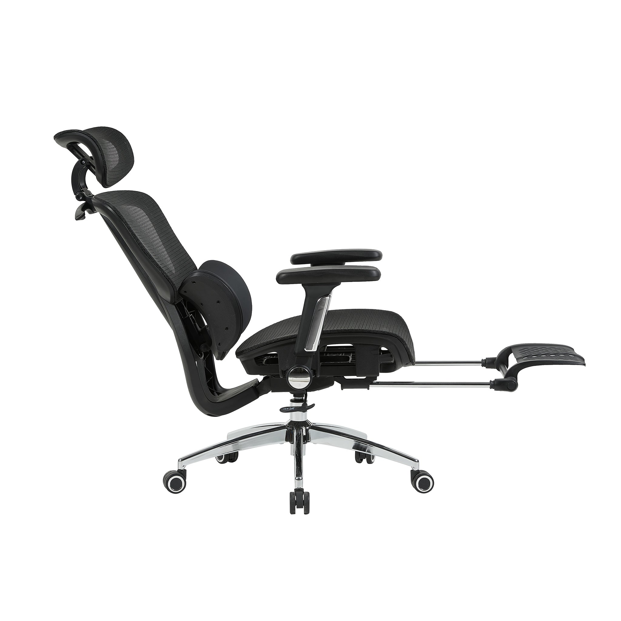 variant:45247869091863|T60Negro