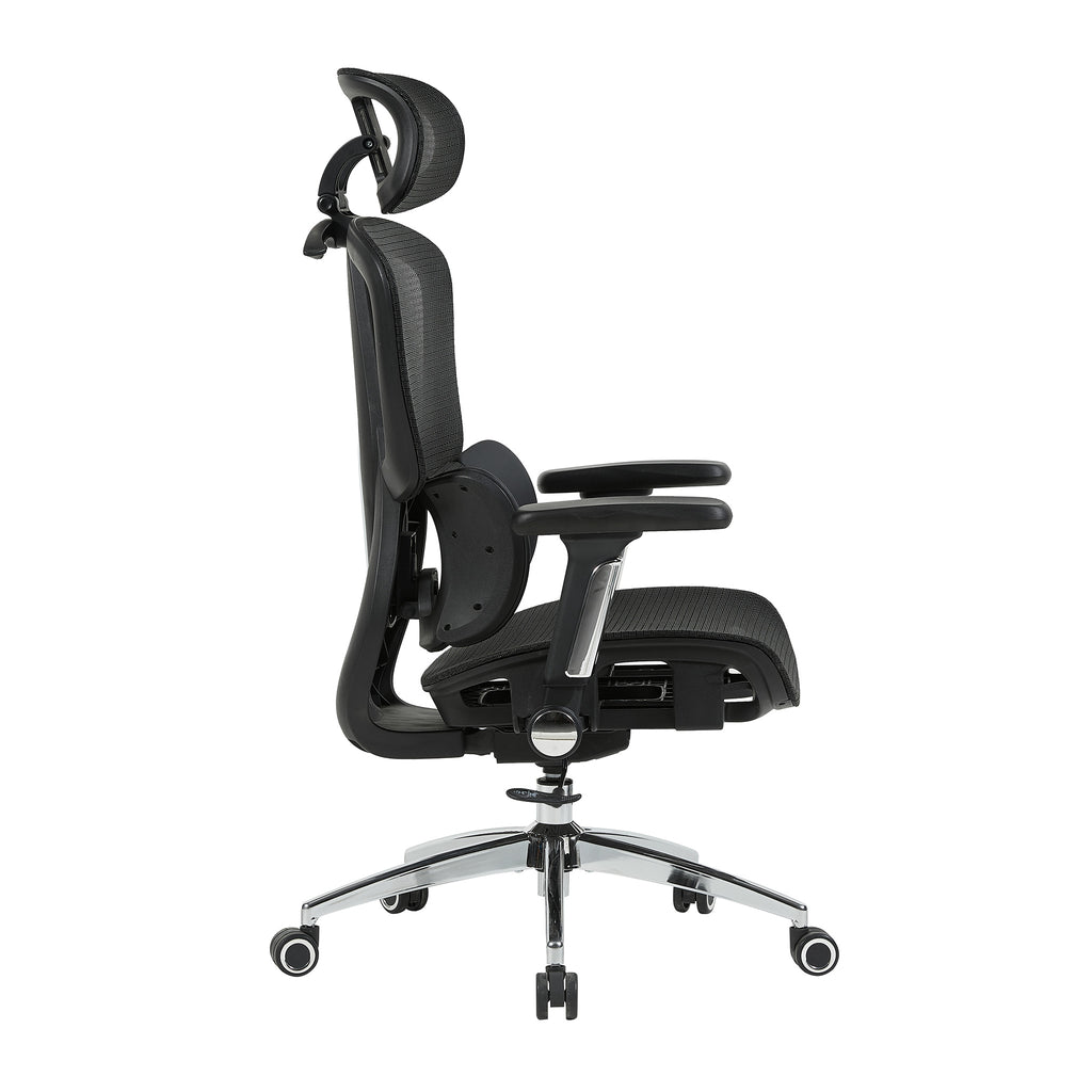variant:45274137657367|T60SinNegro