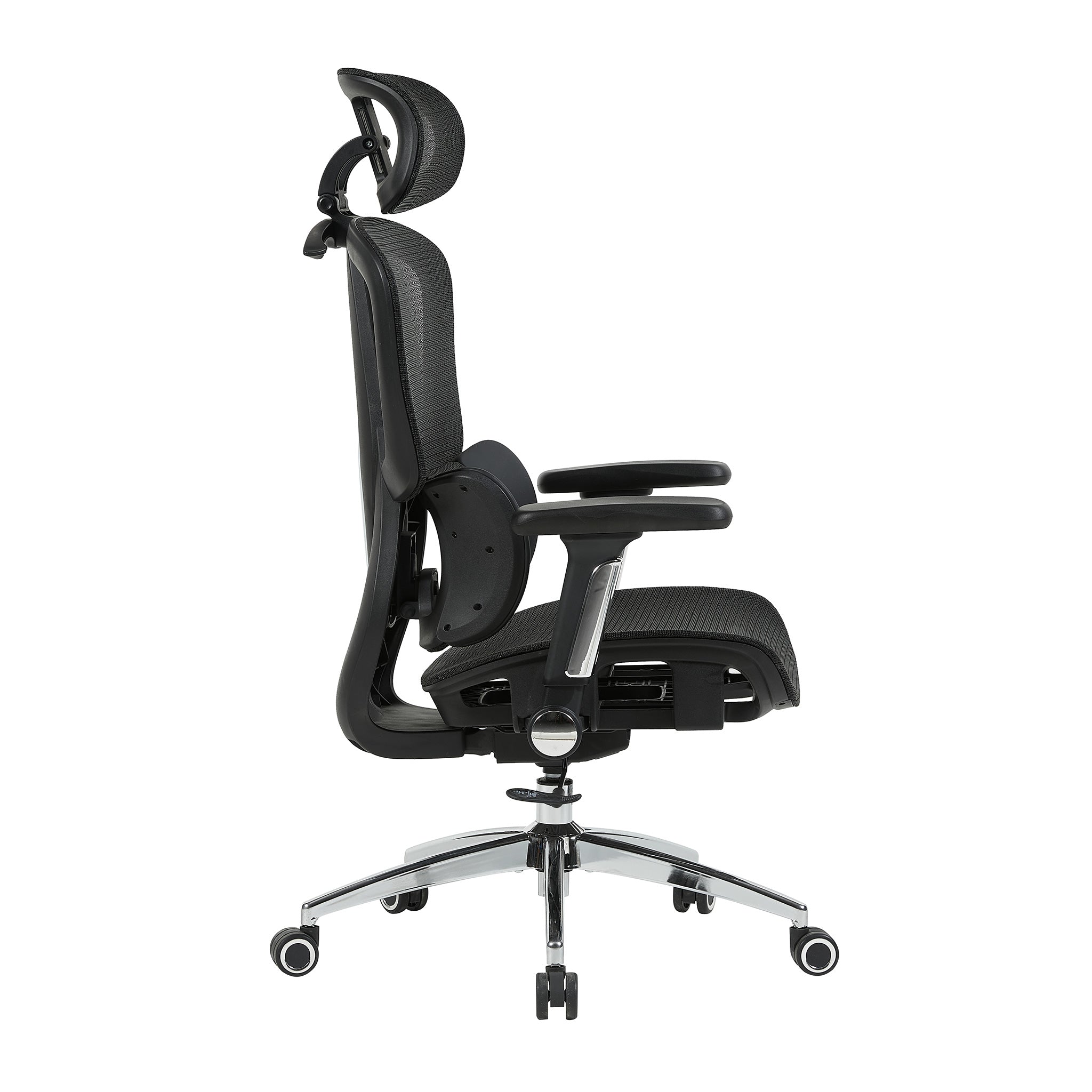 variant:45274137657367|T60SinNegro
