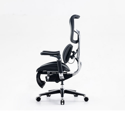 Silla Ergonómica Premium LUVA LIVA S300