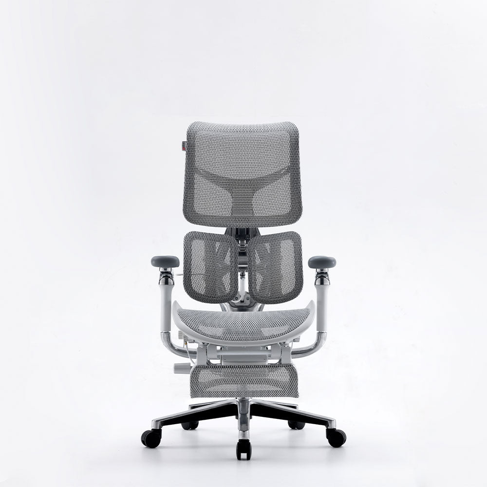 Silla Ergonómica Premium LUVA LIVA S300
