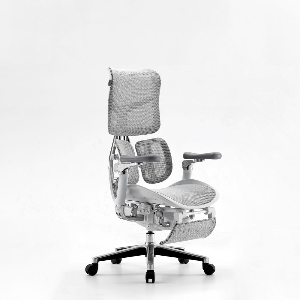 Silla Ergonómica Premium LUVA LIVA S300