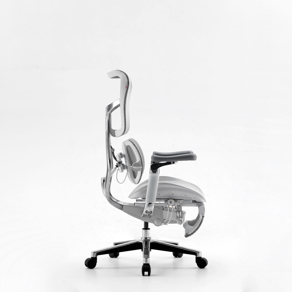 Silla Ergonómica Premium LUVA LIVA S300