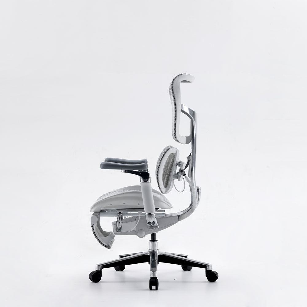 Silla Ergonómica Premium LUVA LIVA S300