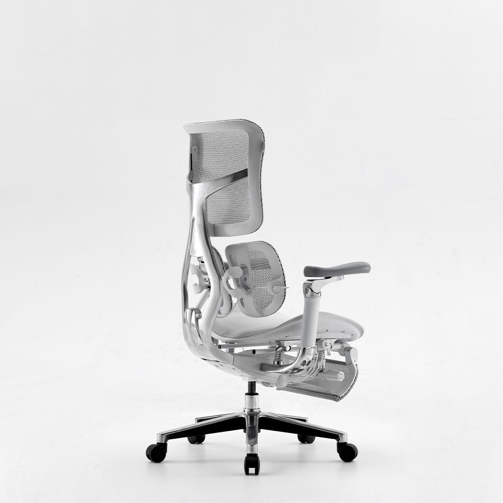 Silla Ergonómica Premium LUVA LIVA S300