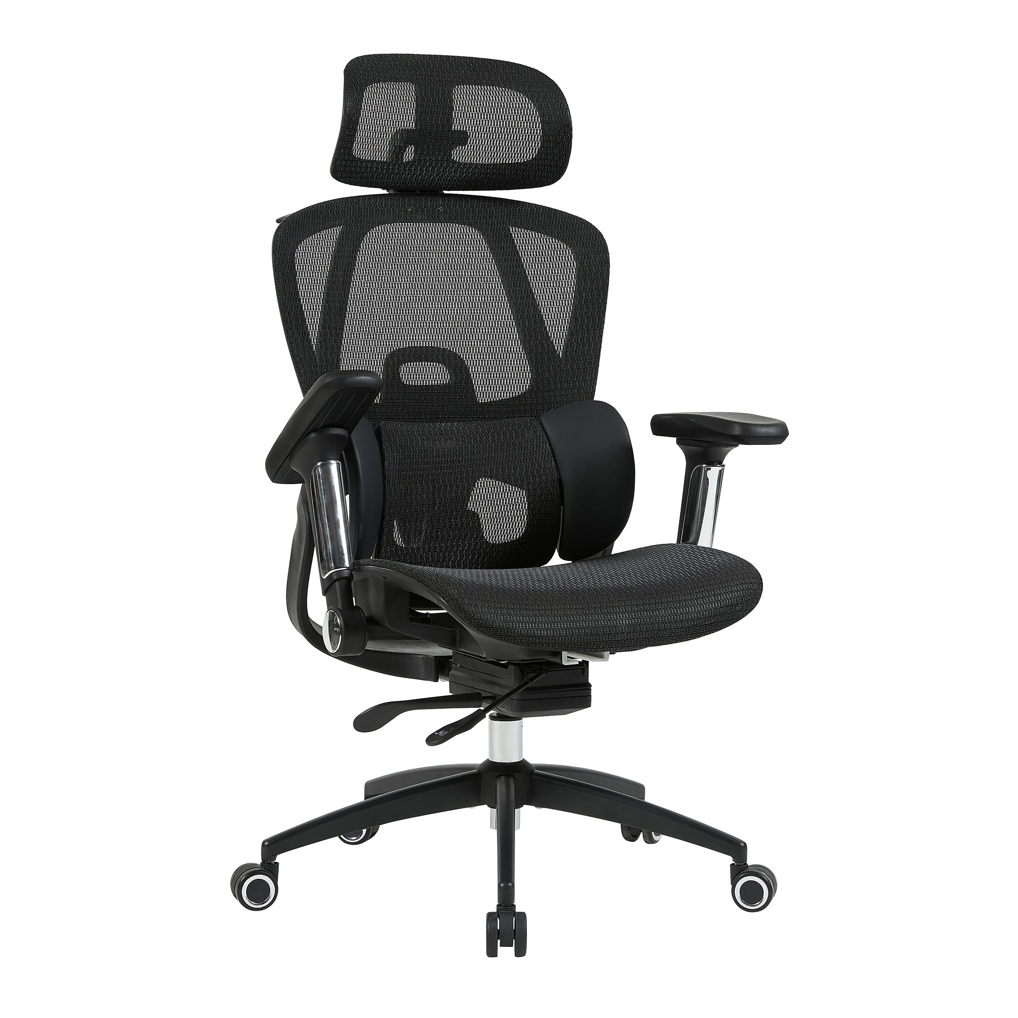 variant:45277177118743|Negro