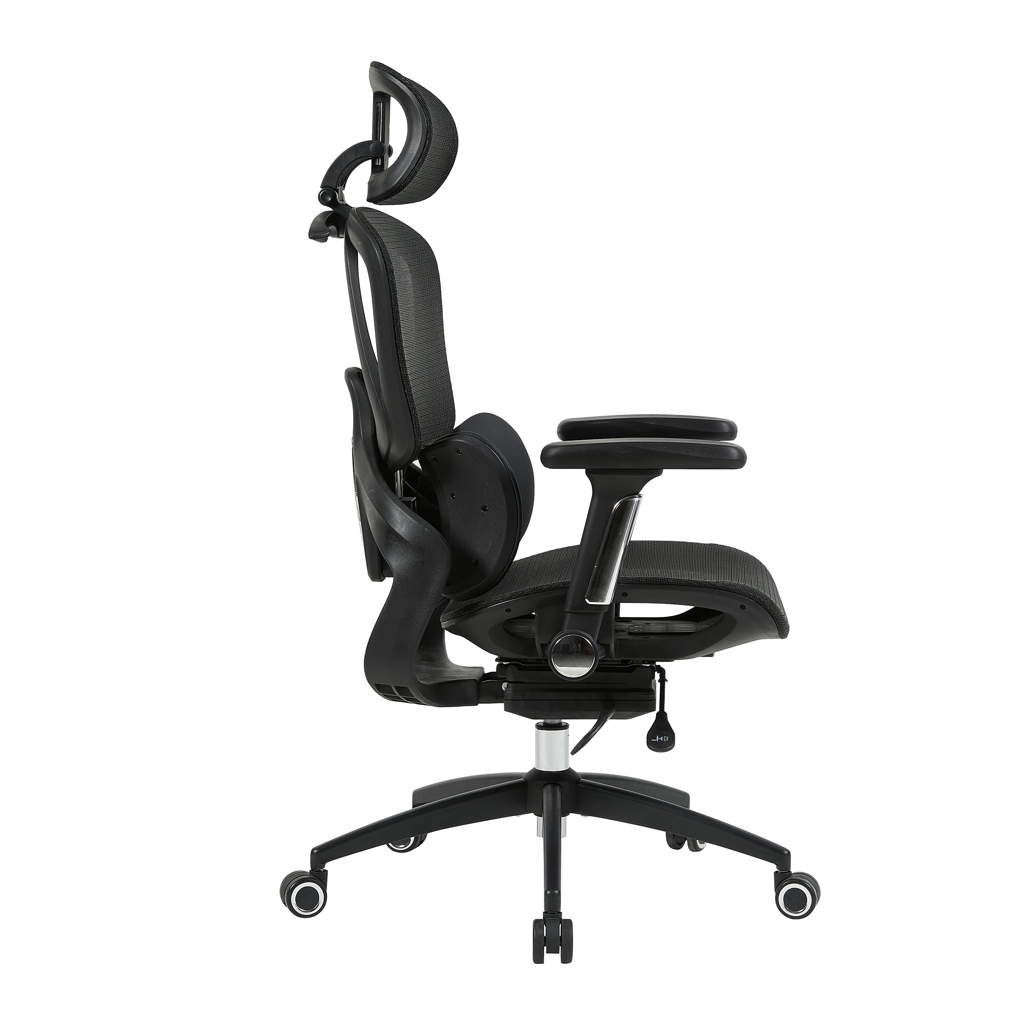 variant:45277177118743|Negro