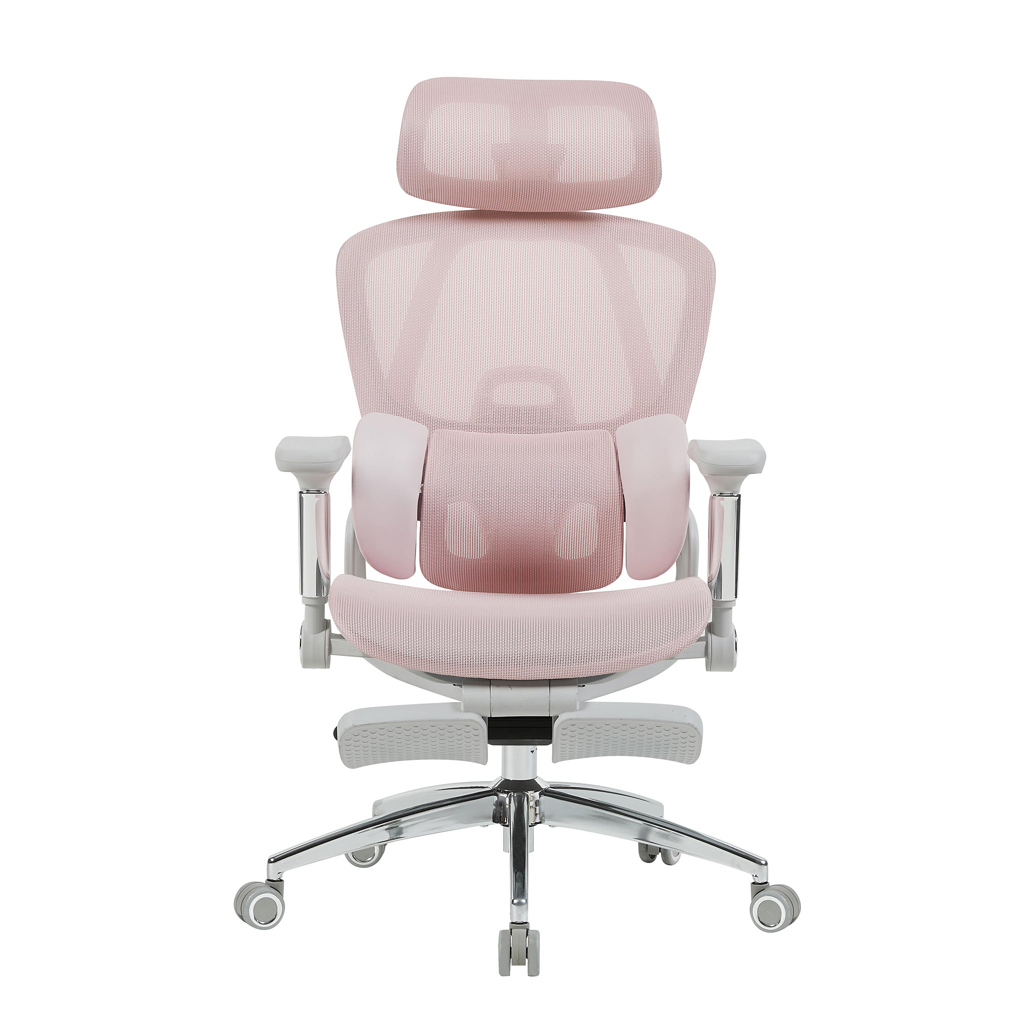 variant:45273949667351|Rosa